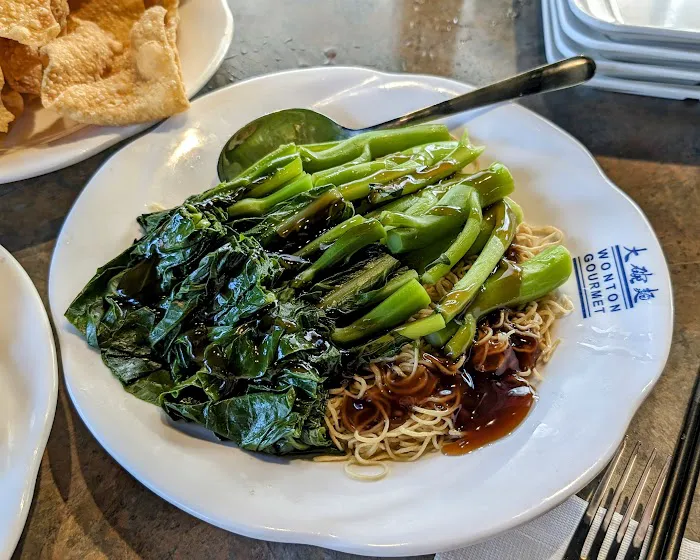 Wonton Gourmet 7