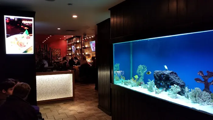 Arirang Hibachi Steakhouse 4