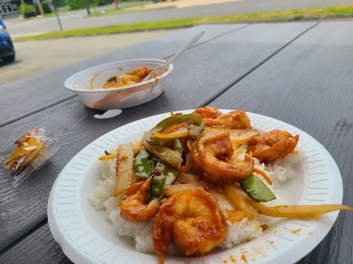 Shogun Wok Edison 4
