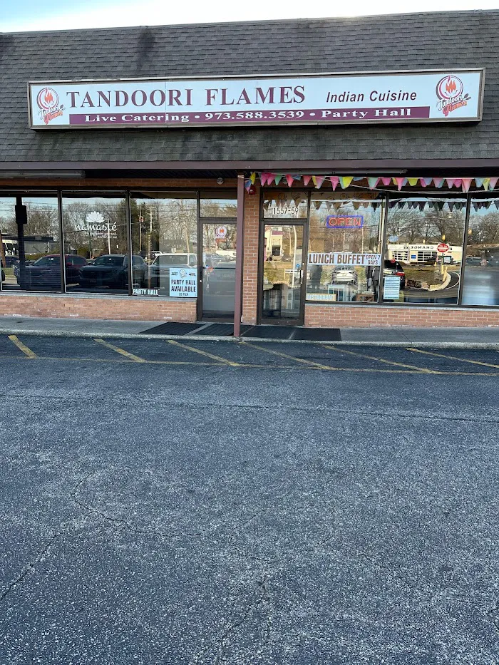 Tandoori Flames 3