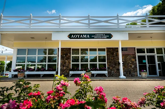 Aoyama Chinese & Japanese Cuisine 1