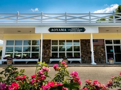 Aoyama Chinese & Japanese Cuisine 0