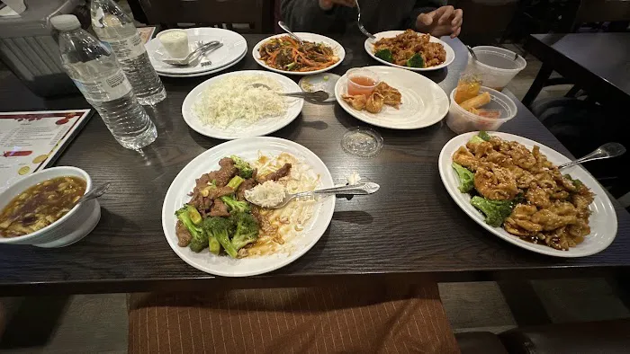 Dragon Palace Halal Sichuan 3