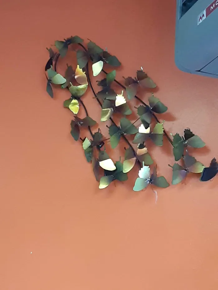 Seasons Kitchen 3