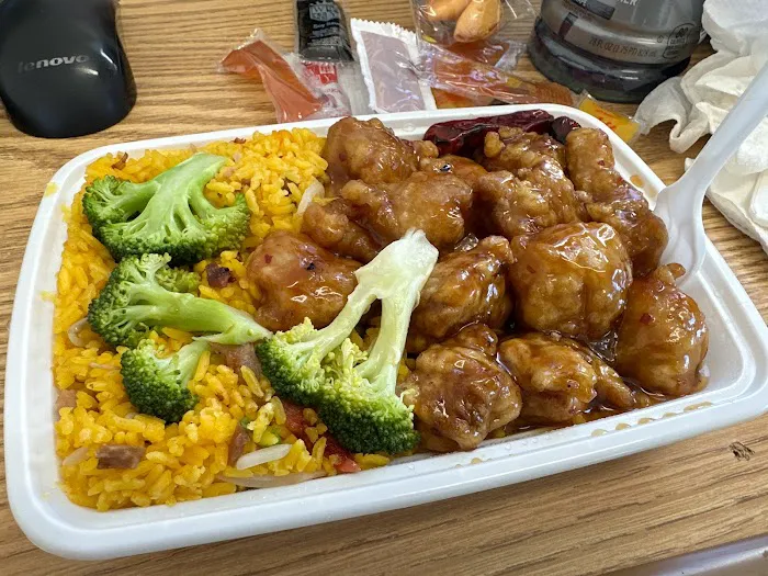 Delicious Chinese Take Out 7