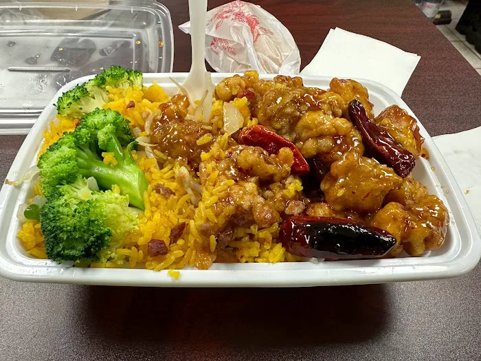 Delicious Chinese Take Out 6