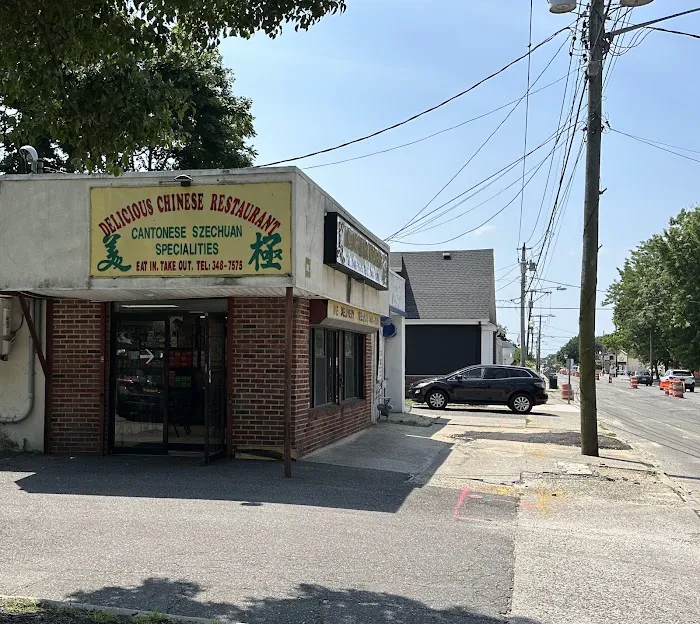 Delicious Chinese Take Out 5