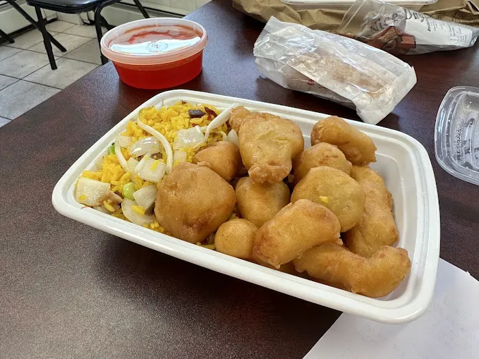 Delicious Chinese Take Out 4
