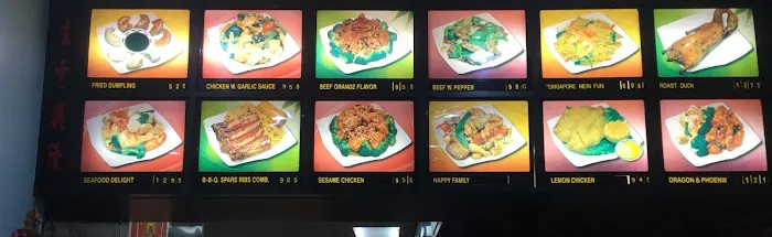 ISEDA Happy Wok 7