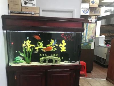 Ginger Chinese Restaurant 0