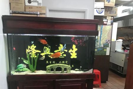 Ginger Chinese Restaurant
