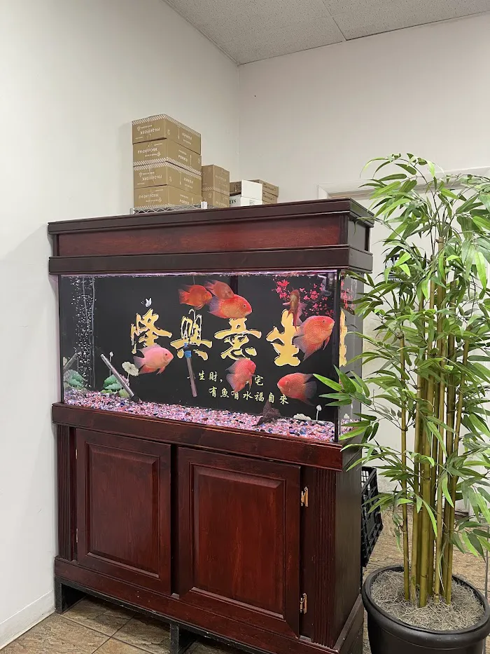 Ginger Chinese Restaurant 3