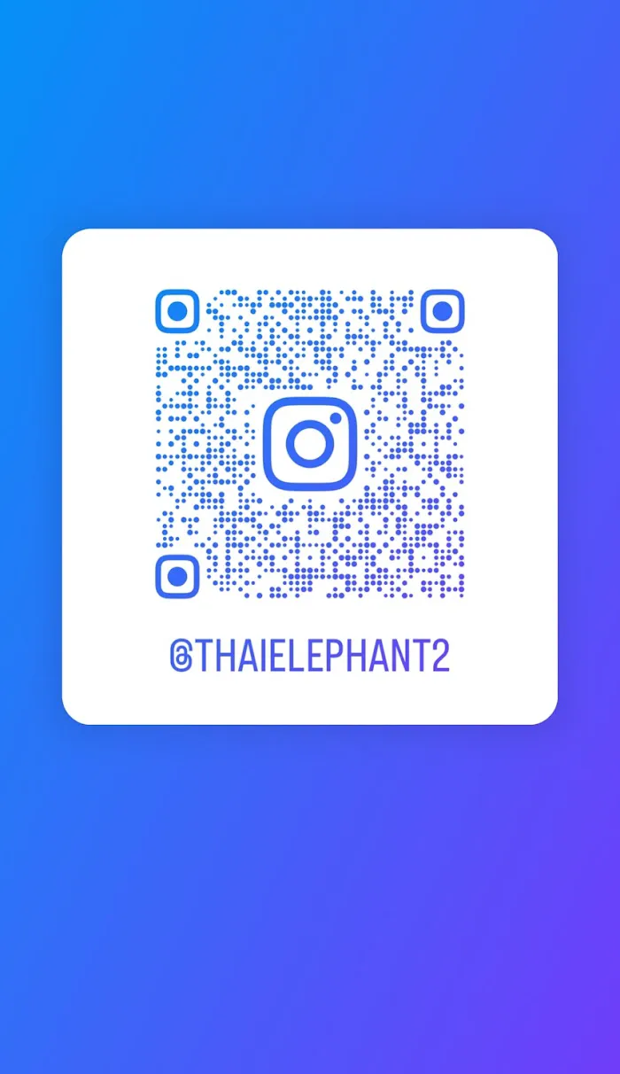 Thai Elephant 2 3