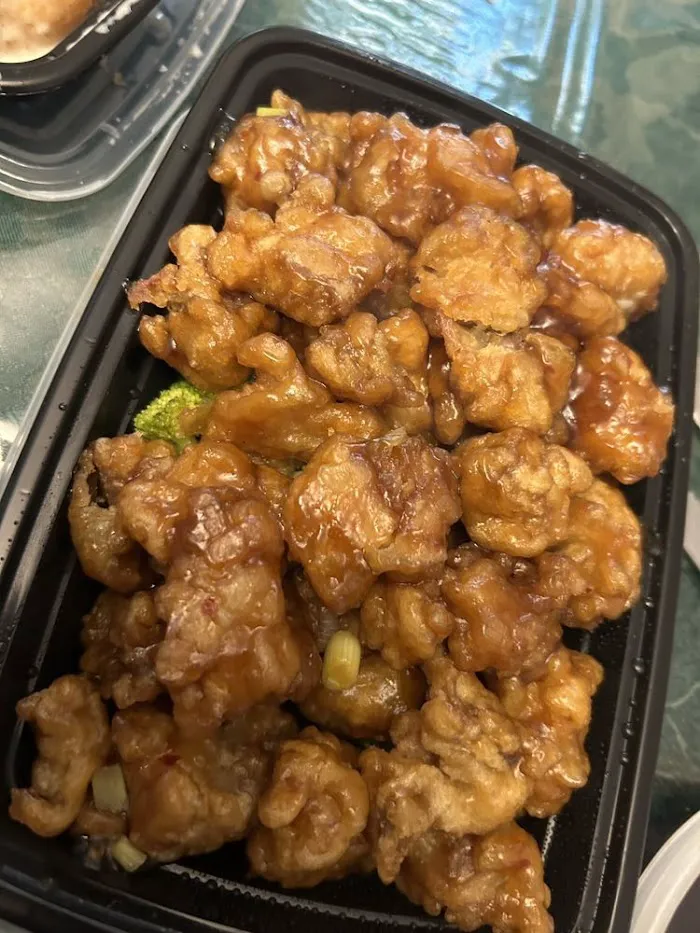Moon Star Chinese Kitchen 10