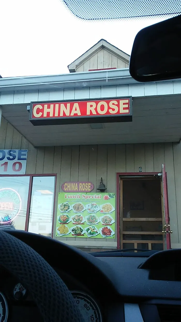 China Rose 9