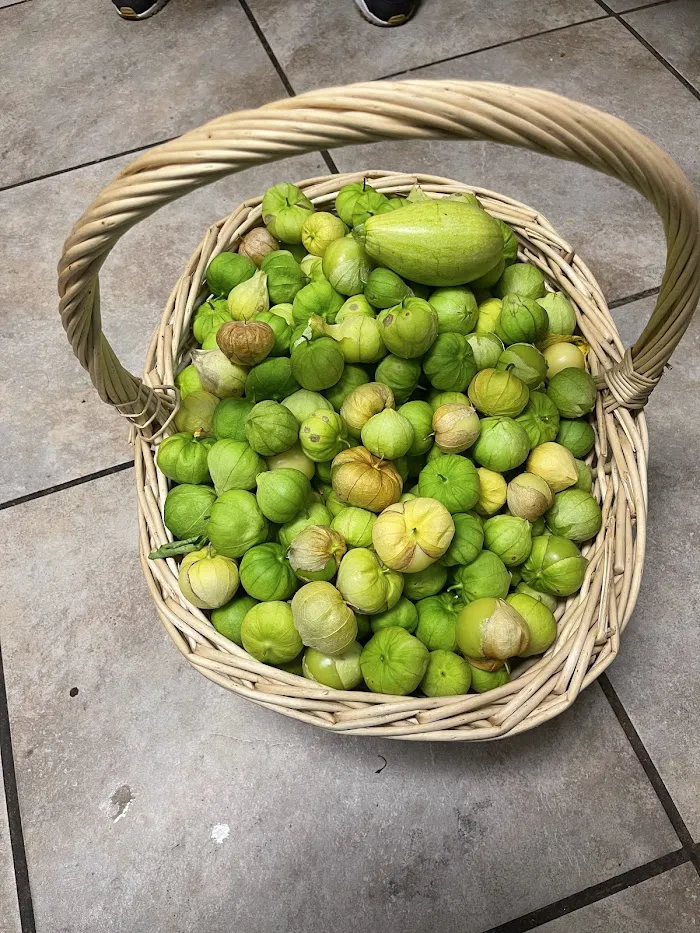 Mi Pueblito 6