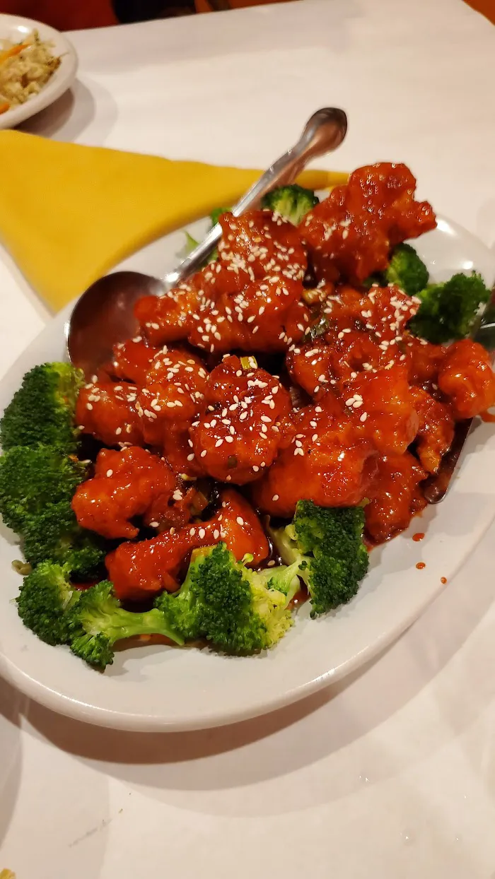 Yummy Bowl 6
