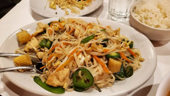 Yummy Bowl 3