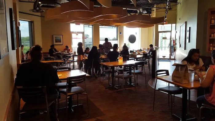 Noodles and Company 1