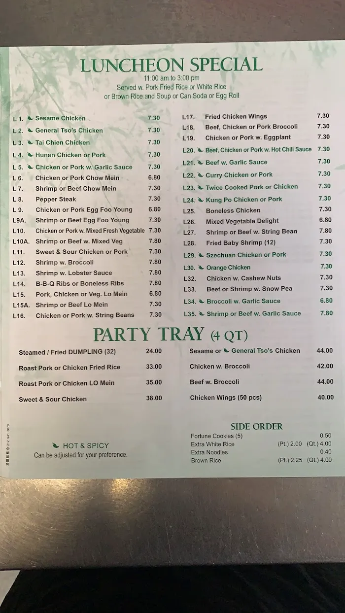 Hong Kong Chinese Restaurant 3