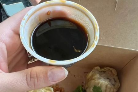 Fat Dragon Thai Food and Boba Smoothies