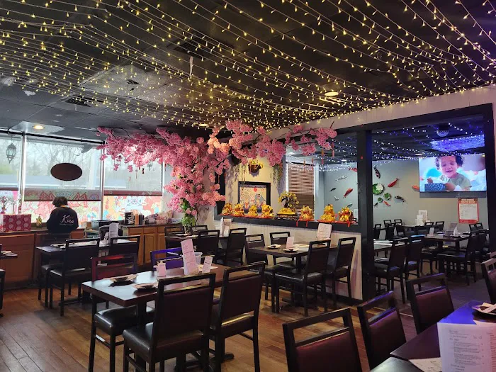 Kira Sushi 4