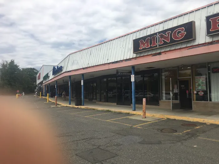 Ming Feng Chinese Restaurant 4