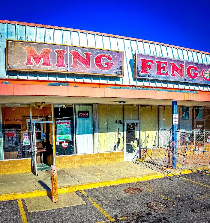 Ming Feng Chinese Restaurant 2