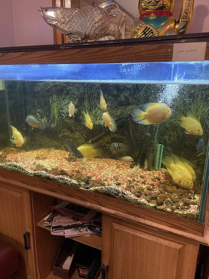 China Buffet 6