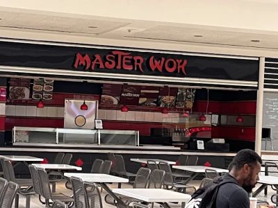 Master Wok 0