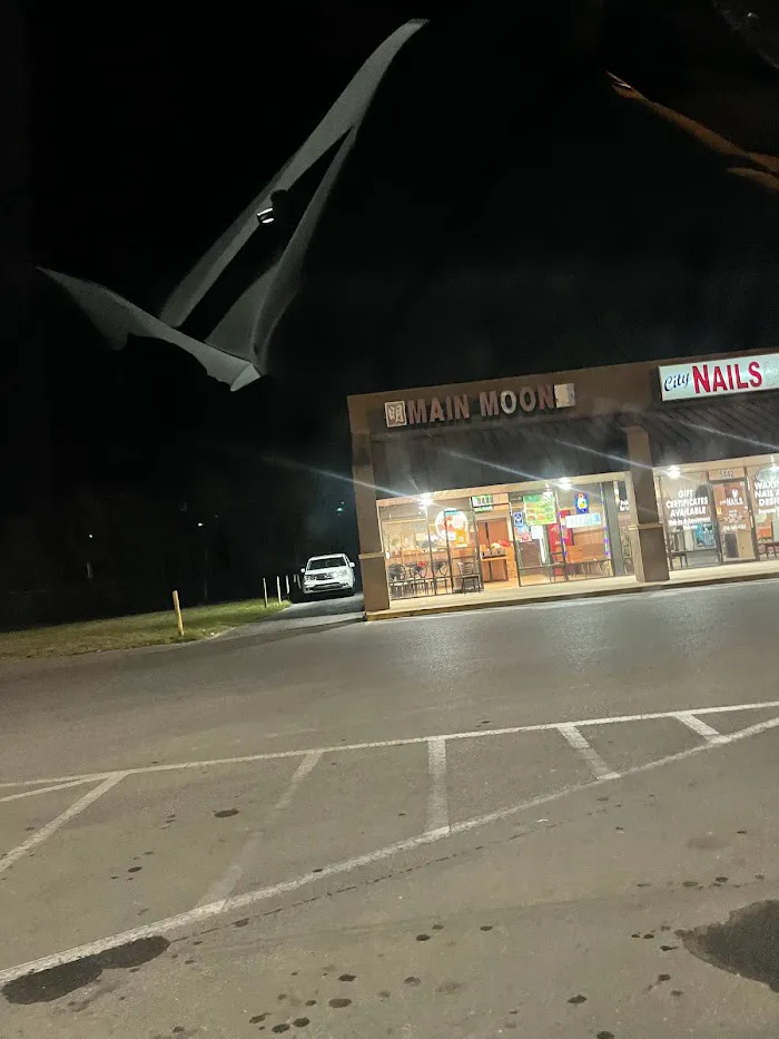 Main Moon Restaurant 7