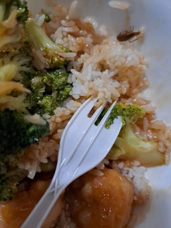 Hong Kong Stir Fry 1