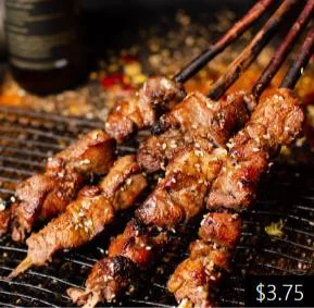 Gao's Kabob Chicago 2