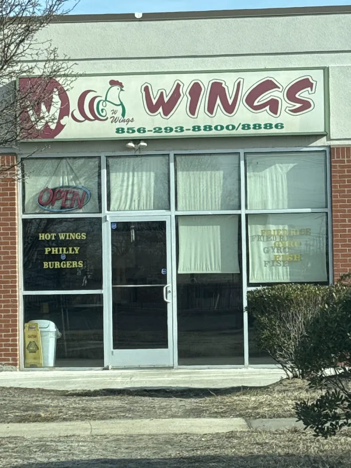 W. Wings 7