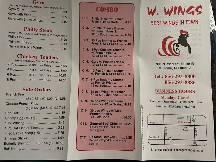 W. Wings 4