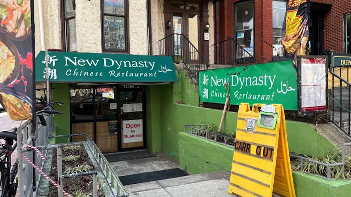 New Dynasty 1