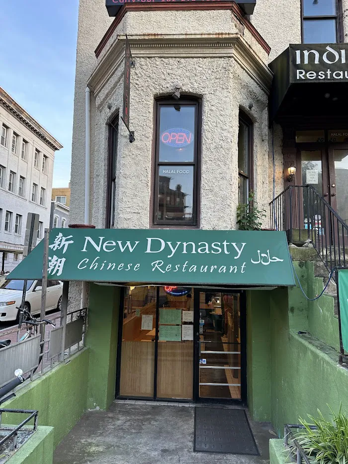 New Dynasty 8