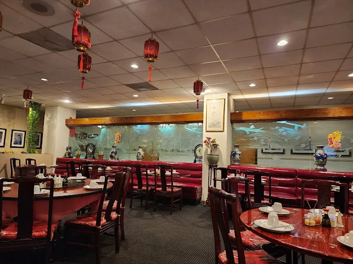 Hunan Dynasty 3