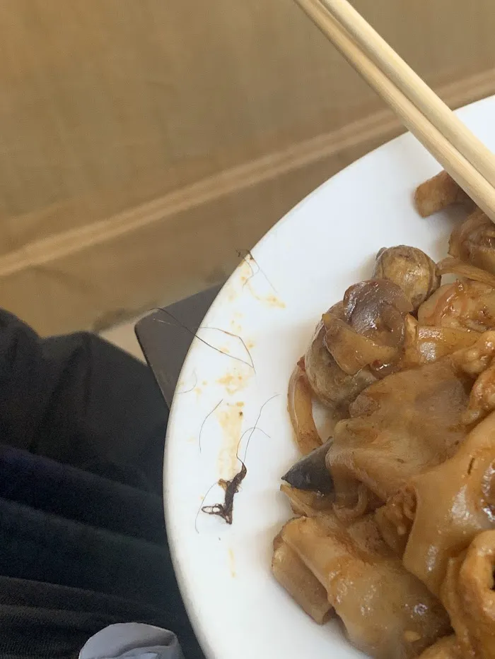 Asian pearl 6