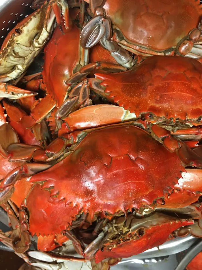 Shiny Seafood 10