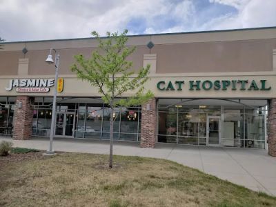 Jasmine Asian Cafe 0