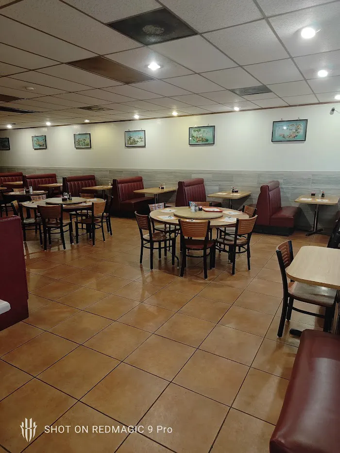 Little Dragon Chinese Restaurant 1
