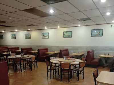 Little Dragon Chinese Restaurant 0