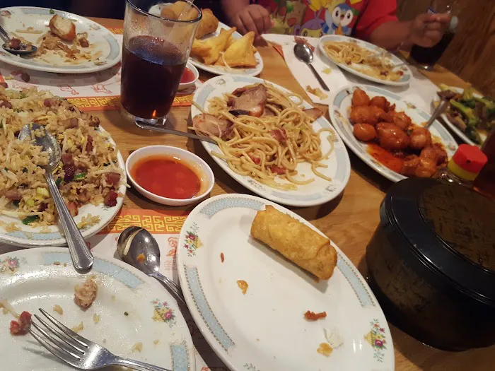 Little Dragon Chinese Restaurant 8