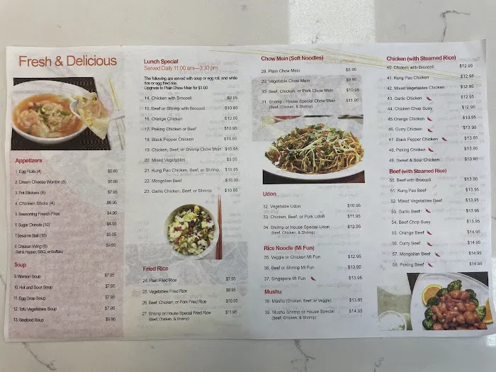 A-One Wok 10