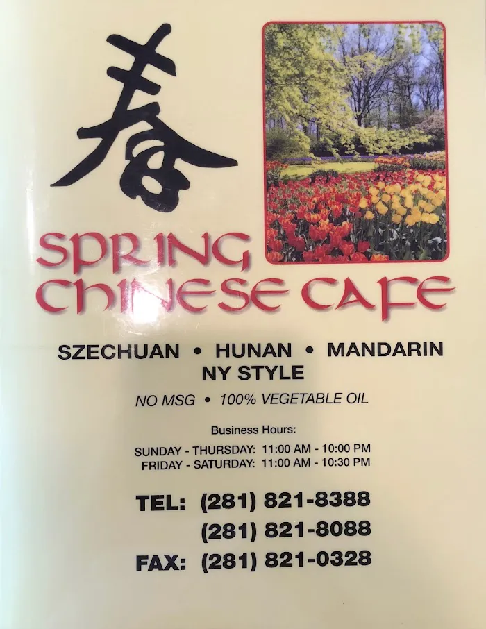 Spring Chinese Cafe 1