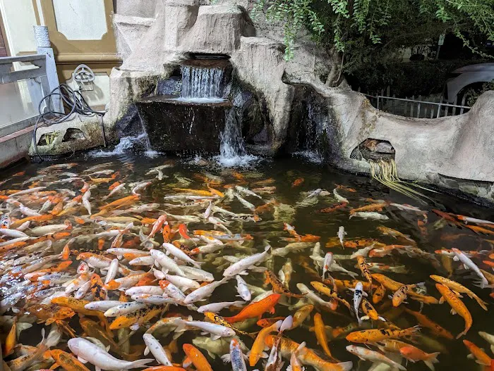 China Bear Buffet Restaurant 1