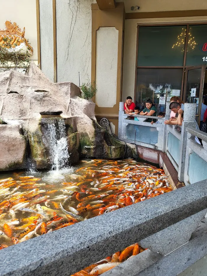 China Bear Buffet Restaurant 8
