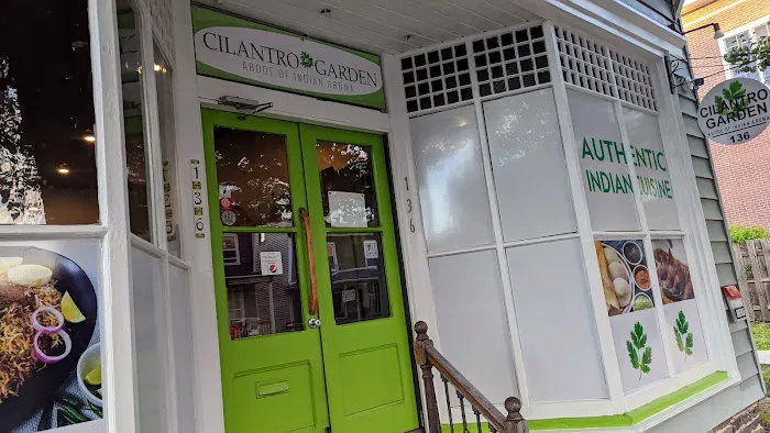 Cilantro Garden 1