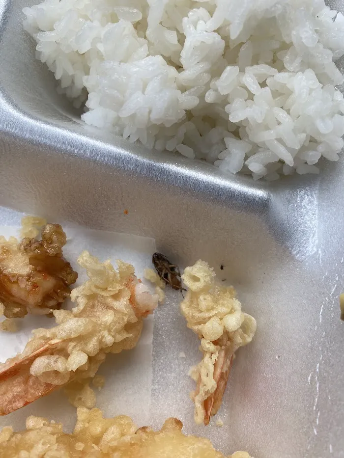 Lee's Sushi 9
